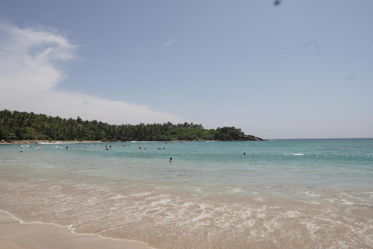 Surf Nest Hiriketiya Hotel Dikwella Bagian luar foto